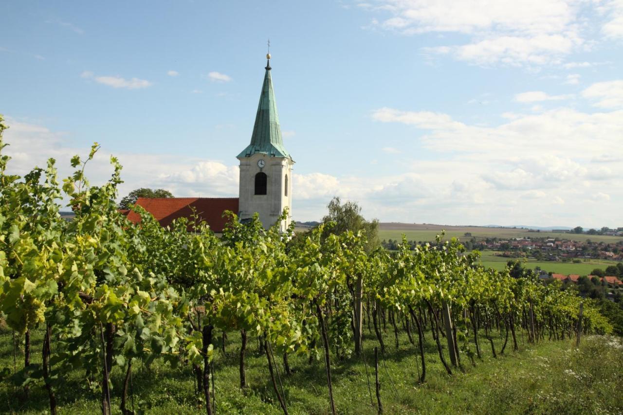 Ubytovani Ve Vinarstvi Medek | Medek House & Winery Uherské Hradiště Eksteriør bilde