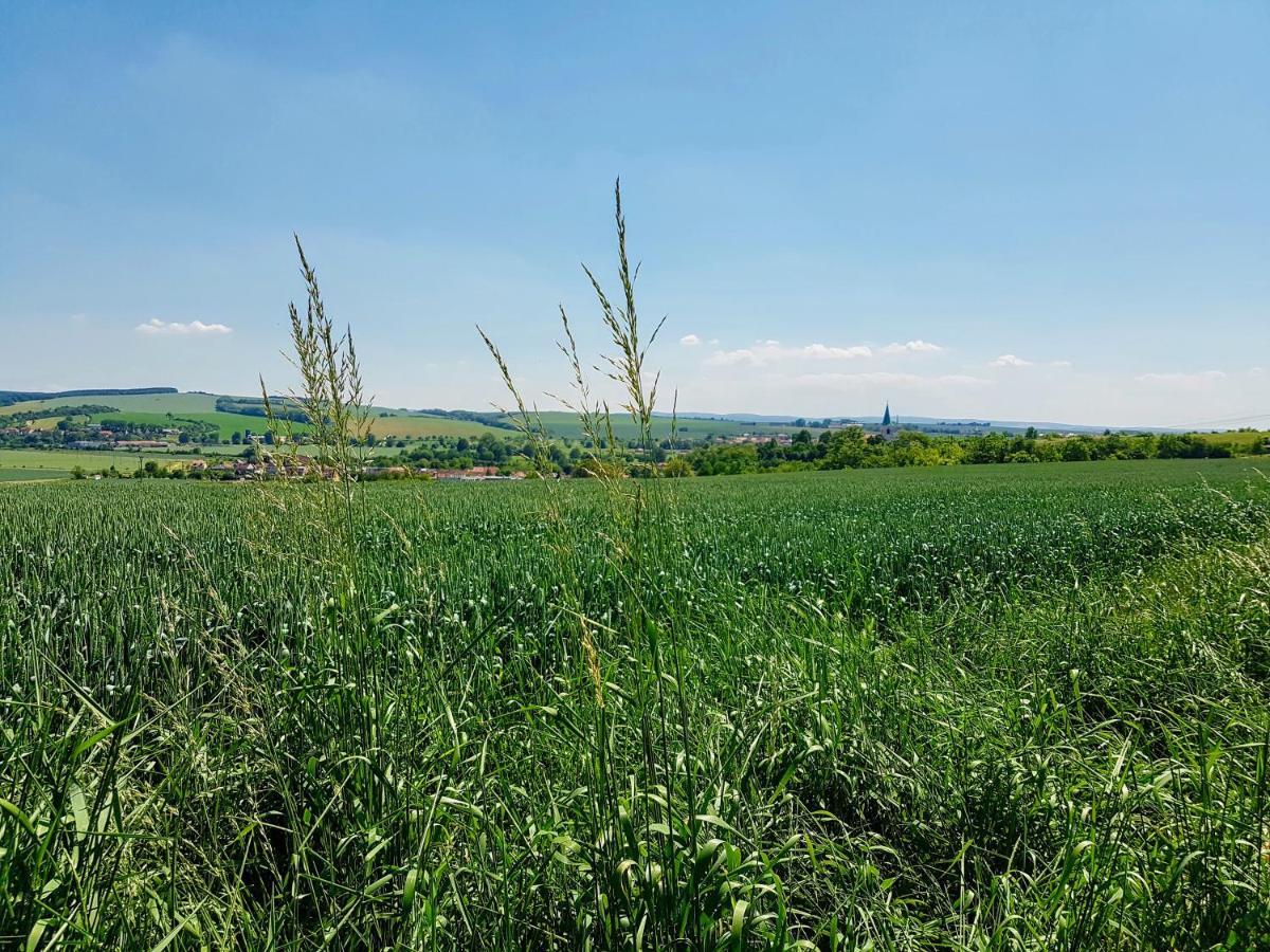 Ubytovani Ve Vinarstvi Medek | Medek House & Winery Uherské Hradiště Eksteriør bilde